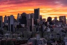 大象传媒视频大全-探索大象传媒视频大全的多元魅力与文化价值
