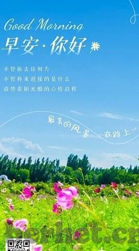 国产91麻豆精品成人区-国产影视的多元化探索——91麻豆精品成人区的文化透视与创新视角