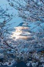 果冻传媒app黄版入口-果冻传媒APP的探索之旅，揭开数字娱乐的多元面纱