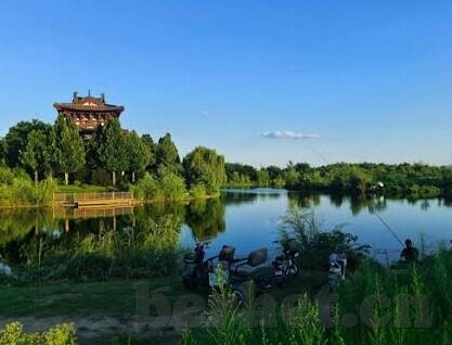 麻豆91视频-数字时代文化审美的别样风景，浅探麻豆91视频现象的社会与心理维度