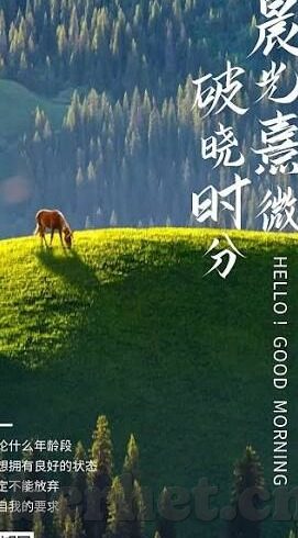 麻豆av真人在线-迷影视觉，揭开麻豆AV真人的幕后探索