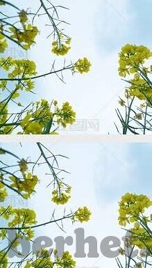 麻豆传媒出品-麻豆传媒出品——影视界的璀璨新星
