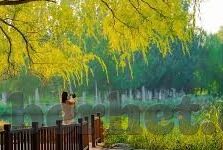 麻豆传媒兄妹蕉谈-相聚的秘密——麻豆传媒下的兄妹情深，蕉谈一瞥