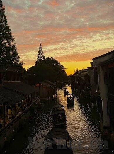 糖心vlog2021新版下载-2021年新视界，揭秘糖心Vlog的全面升级体验