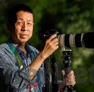 糖心vlog御梦子叫什么-糖心vlog里的御梦子，追寻她独特的梦想轨迹