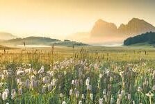 瑜伽福利在线一区二区-瑜伽的在线福祉，一区二区的静谧之旅
